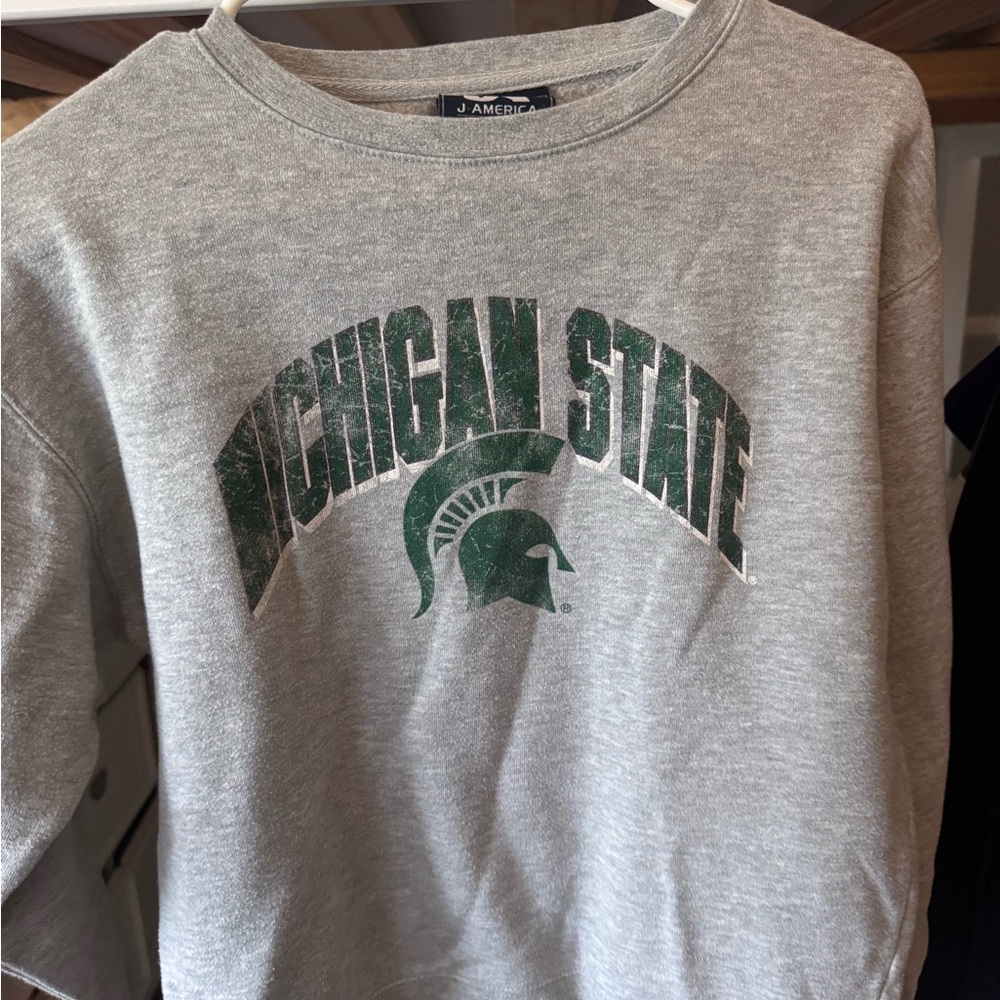 Gray Michigan State Sweatshirt